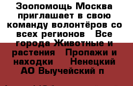 Зоопомощь.Москва приглашает в свою команду волонтёров со всех регионов - Все города Животные и растения » Пропажи и находки   . Ненецкий АО,Выучейский п.